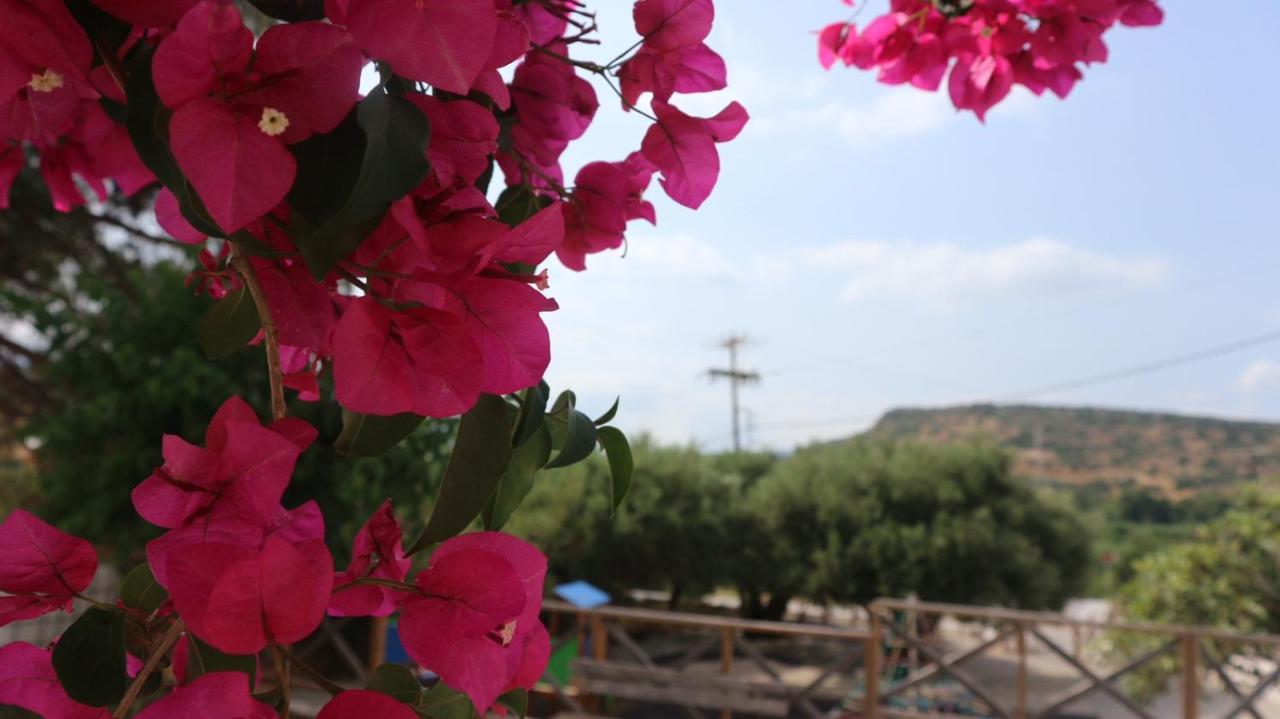 Artemis House Apartment Agios Nikolaos  Luaran gambar